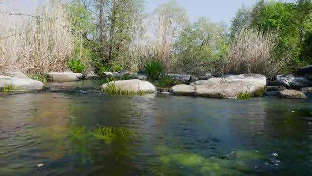 Hermoso río salvaje con rocas — Vídeo de stock