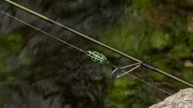 Balık tutma malzemeleri - iplik, balıkçılık kanca ve lures üzerinde ahşap arka plan karartmak. Üstten Görünüm.