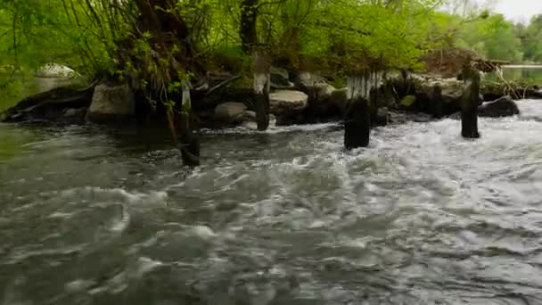Flusso di fiume di primavera veloce — Video Stock