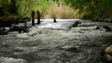 Tehlikeli hızlı akış Nehri