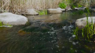 Kayalar ve çim vahşi akışı