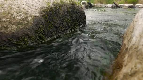 A água flui através das pedras — Vídeo de Stock