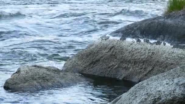 Marcas nas pedras - alavanca de água caindo — Vídeo de Stock