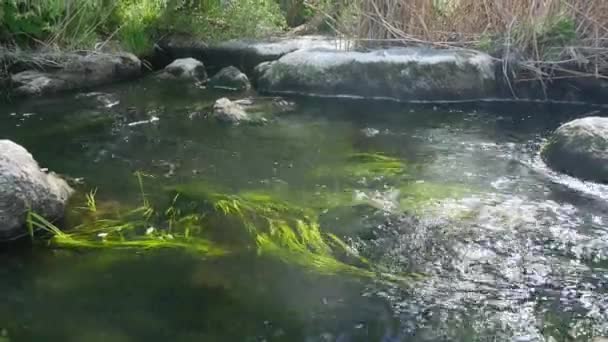 Vattenströmmen vid wild rock river — Stockvideo