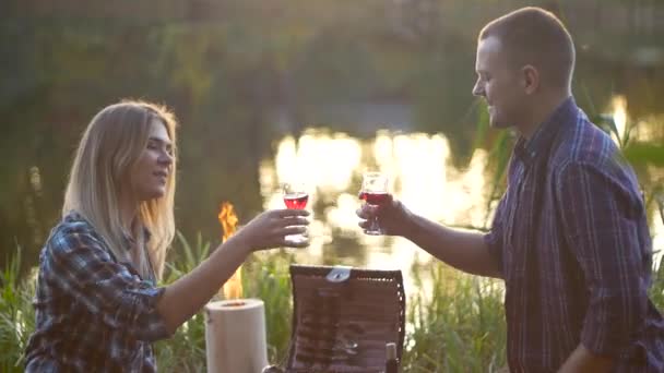 Piknik hafta sonu mutlu genç güzel çifte — Stok video