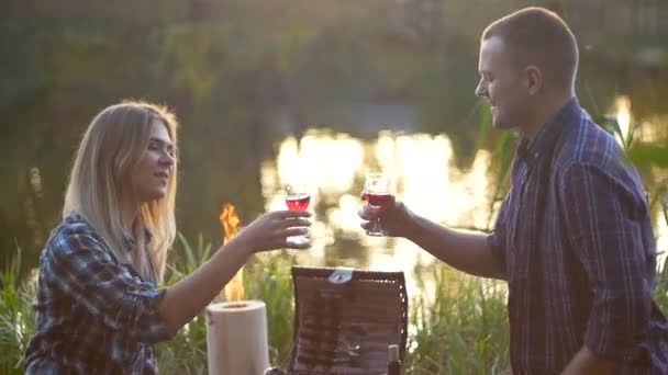 Šťastný mladý krásný pár víkendu piknik — Stock video