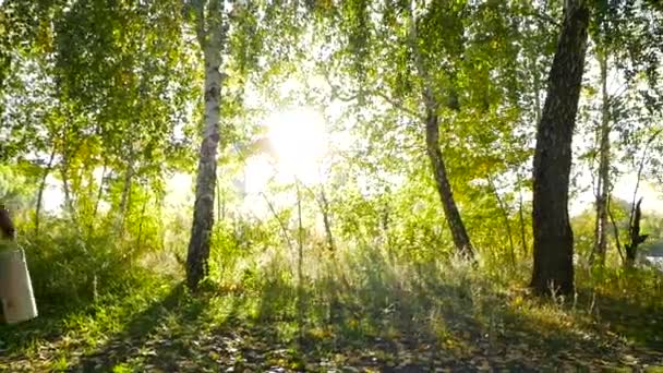 Vacaciones en el bosque — Vídeo de stock