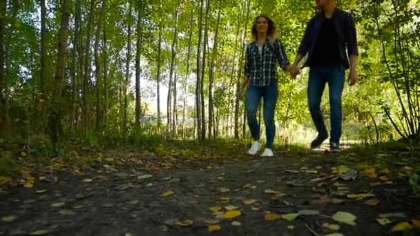 Aşık çift bir parkta yürüyüş — Stok video