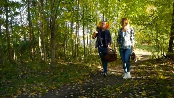 Ausflugswochenende im Herbstwald — Stockvideo