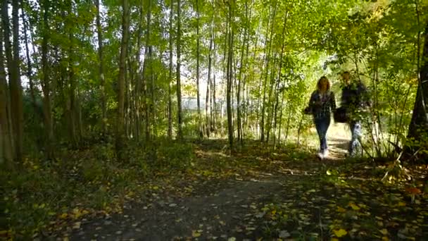 Pareja joven sigue el camino en el bosque — Vídeo de stock