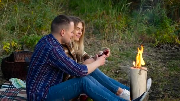 Schönes Paar am Picknick-Wochenende — Stockvideo