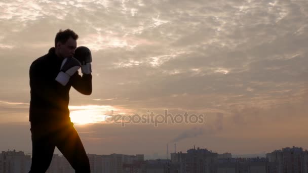 強いボクサーの日没時トレーニング — ストック動画