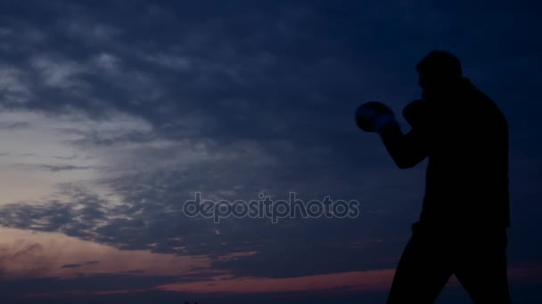 Silhouette de boxeur professionnel pendant l'entraînement — Video