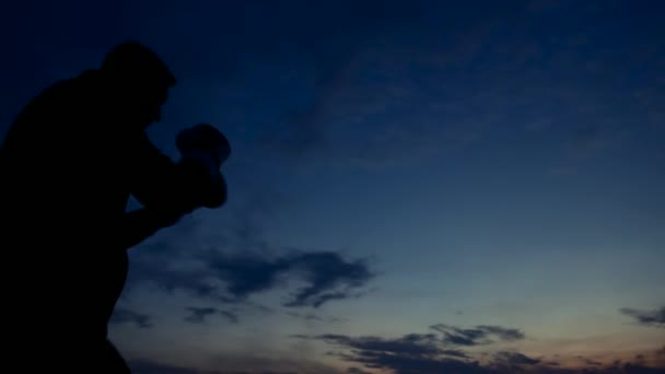 Well trained boxer silhouette with sky background — Stock Video