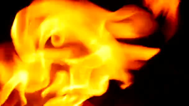 Ξύλο πυρκαγιάς σε κοντινό πλάνο — Αρχείο Βίντεο