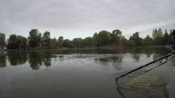 Fantastic fishing momet of dancing rainbow trout on the tail — Stock Video