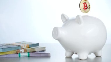 Beyaz arka plan üzerinde beyaz domuz servet dolar ve Euro yakınındaki Bitcoin cryptocurrency koyarak