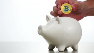 Bitcoin cryptocurrency sembolü beyaz domuz servet koyarak