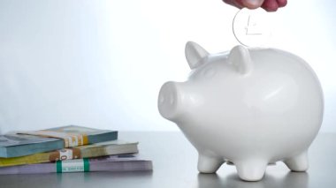 Beyaz domuz servet Litecoin cryptocurrency özelliğini kapat