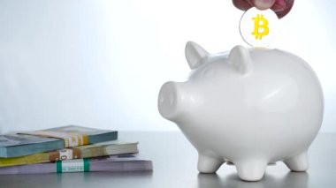 Usd ve Euro ve büyük beyaz servet domuz ile gümüş Bitcoin cryptocurrency
