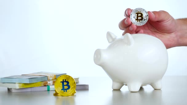 Argento Bitcoin criptovaluta con USD ed euro e grande maiale bianco moneybox — Video Stock