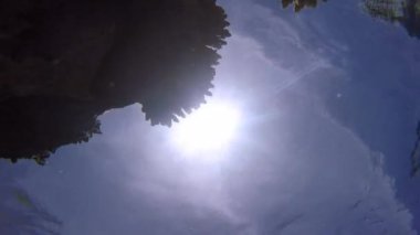 Kızıl Deniz sualtı mercan balıklar ve yapraklara yüzeyi ile