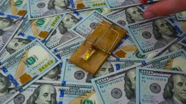 İnsanlar - fare kapanı ile ABD'nin bitcoin için dolar arka plan ısırmak