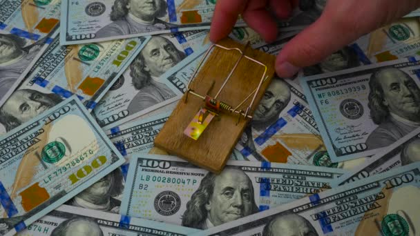 Подготовка мышеловки с золотыми биткойнами на фоне американских долларов — стоковое видео