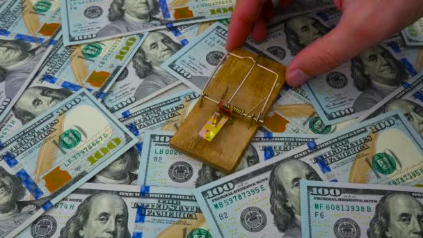 Trappola del mouse con litecoin sullo sfondo dollari USA — Video Stock