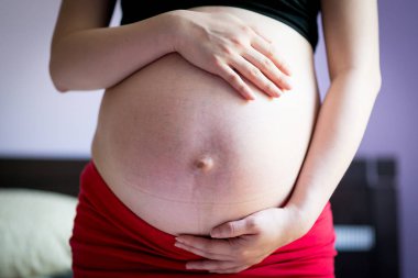 familie doen onlilne winkelen voor Kerstmis