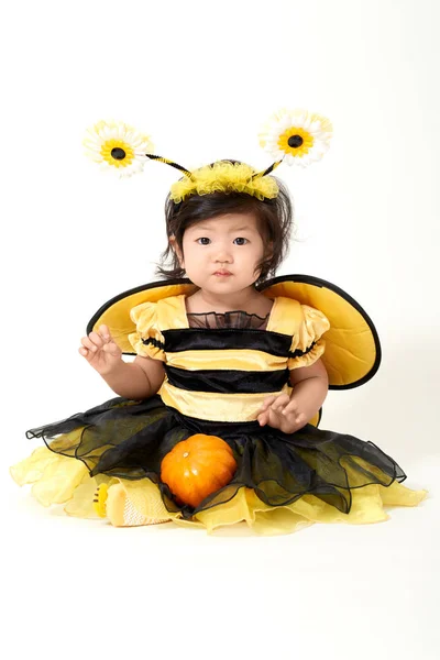 Bebê Bee pronto para o Halloween — Fotografia de Stock