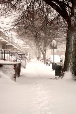 Kar fırtınası Niko New York'ta 9 Şubat 2017