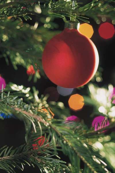 White, Background, Christmas, Decorate, Tree, Decorated, De, Christmas tree, New year, Christmas background, Christmas tree