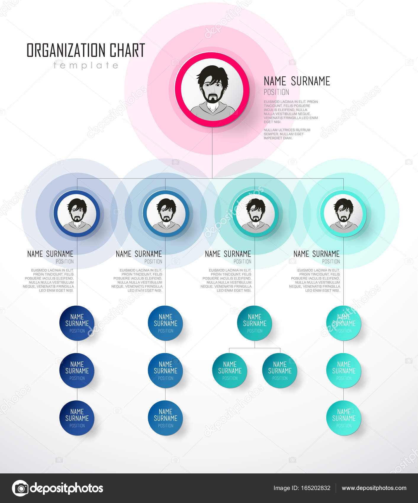 Organization chart template with colorful circles and place for — Stock