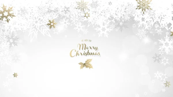 Merry Christmas with many snowflakes on light silver background. — Stock Vector