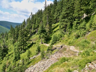 dağ tepe yeşil ağaçlar ile