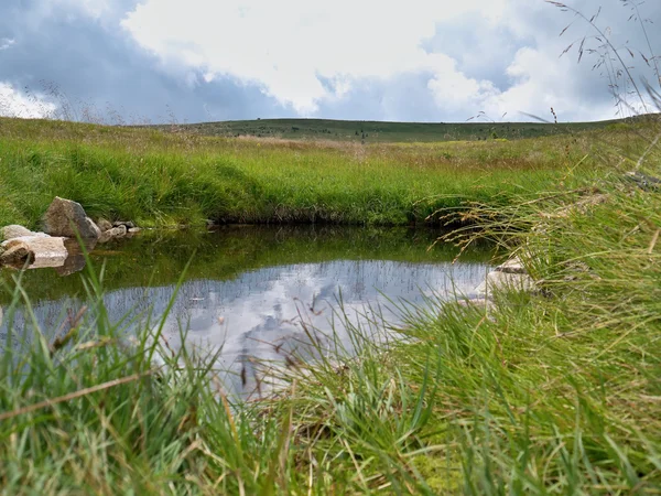 Pequeño lago de montaña en la hierba — Foto de Stock