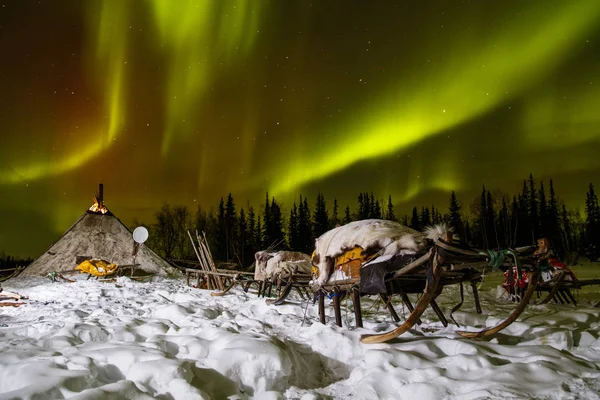 Sleighs on snow at night with aurora lights