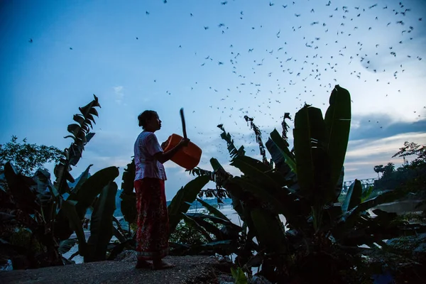 Villager está tratando de deshacerse de los murciélagos —  Fotos de Stock