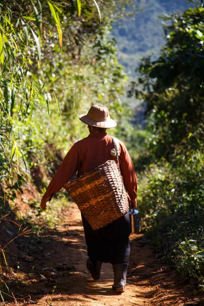 Trädgårdsmästare gå på vägen med korg på ryggen — Stockfoto
