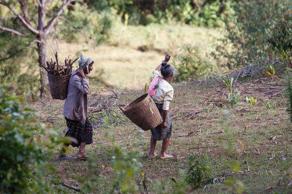 Kadınlarla alanına yürüyor sepetleri — Stok fotoğraf