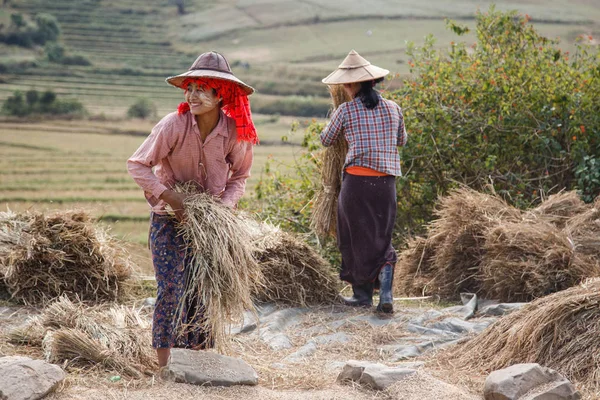 Saman hasat şapka kadında — Stok fotoğraf