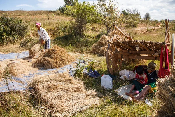Hombre cosechando heno y niños usando tableta — Foto de Stock