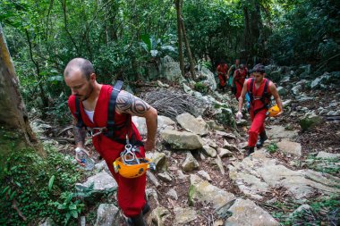insanların ormanda hiking kıyafetler içinde