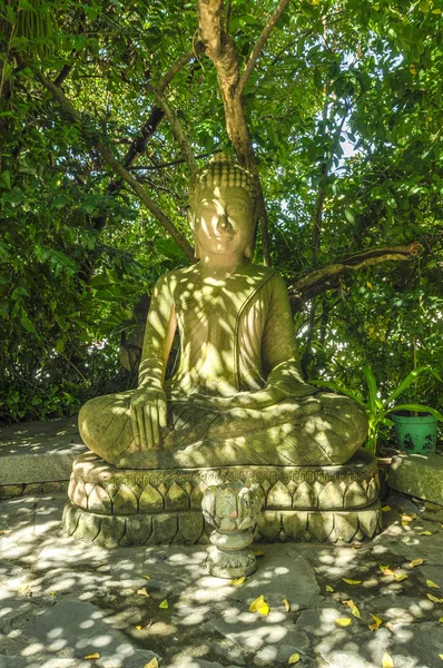 Buddha statue in the forest — Stock Photo, Image