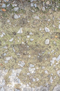 kuvars taşı ve Çamur veya ıslak kahverengi toprak veya Sıvı kir 