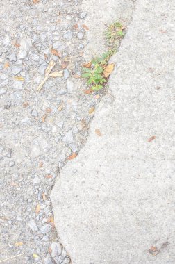 White Mortar road With Cracked Between rock stone Texture Backgr