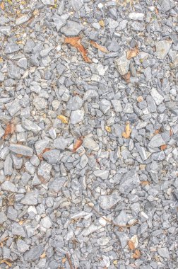 kuru yaprak arka plan dokusu ile taş zemin