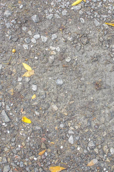 Piedra de cuarzo y barro o tierra marrón húmeda o suciedad líquida — Foto de Stock
