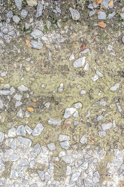 Kvarc kő és iszap vagy nedves barna talaj vagy folyékony szennyeződés — Stock Fotó